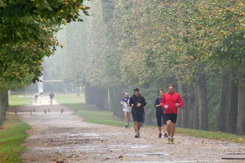 Footing à Versailles et parcours entre nature et histoire